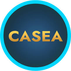 Gamifikace kasina Casea